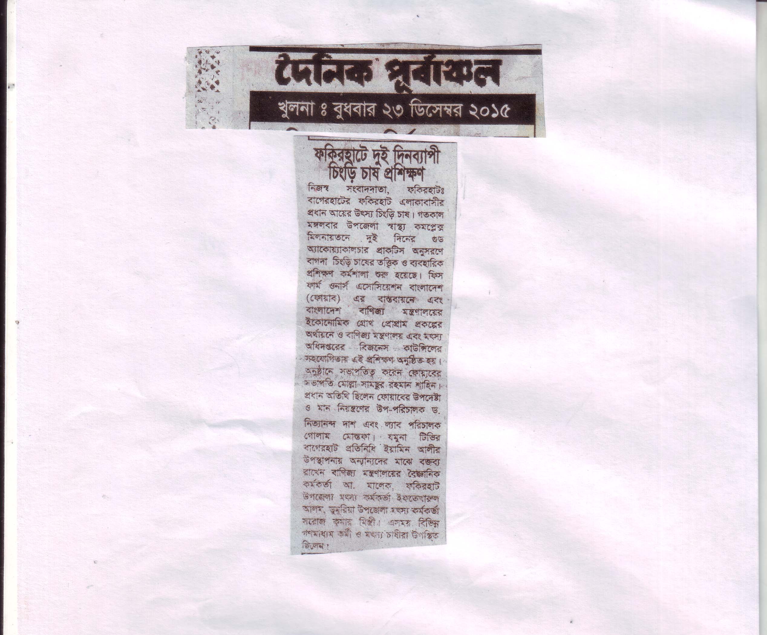 National Press & Investigative Media Coverage