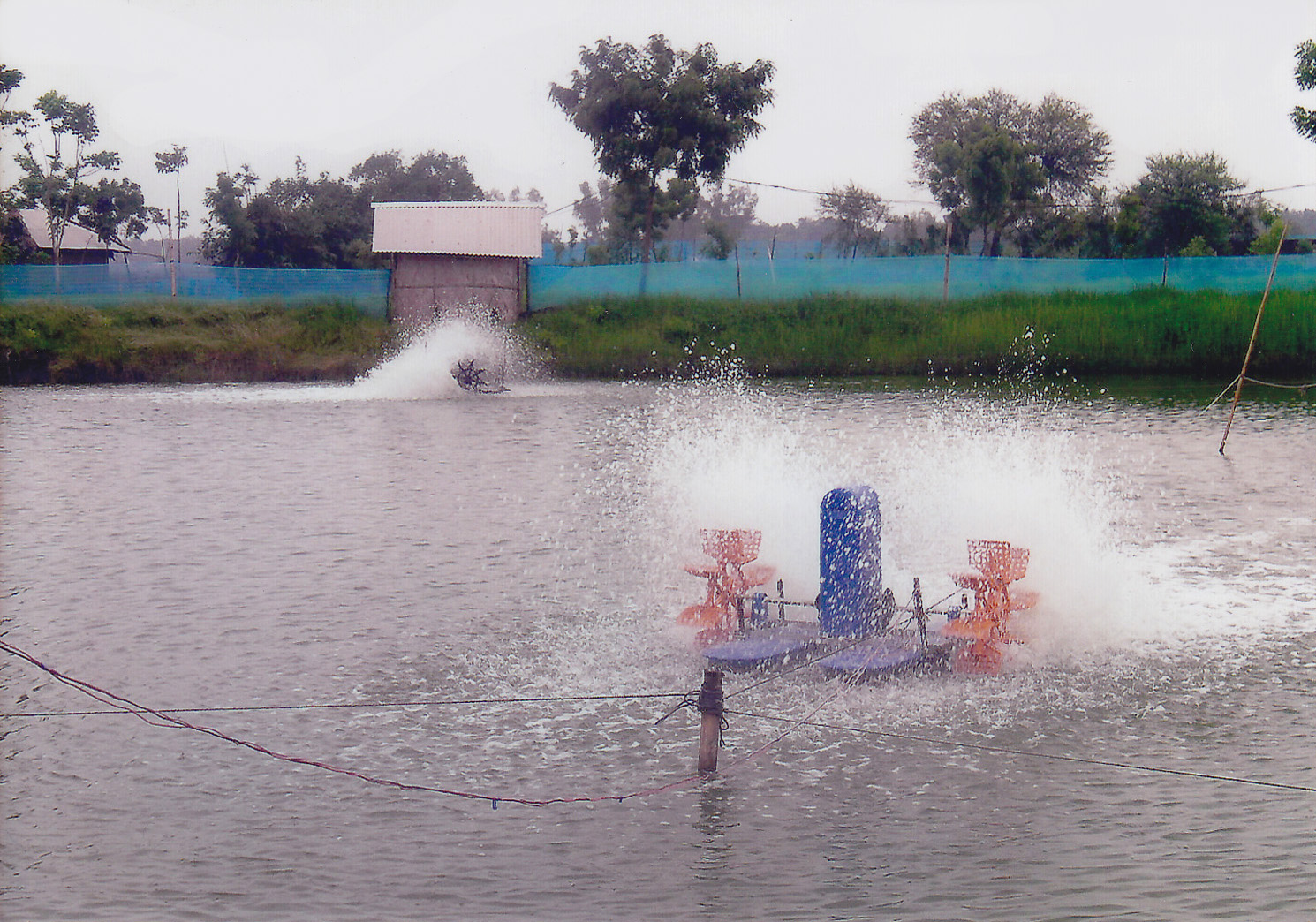 Commercial Aquaculture Farms & Ponds