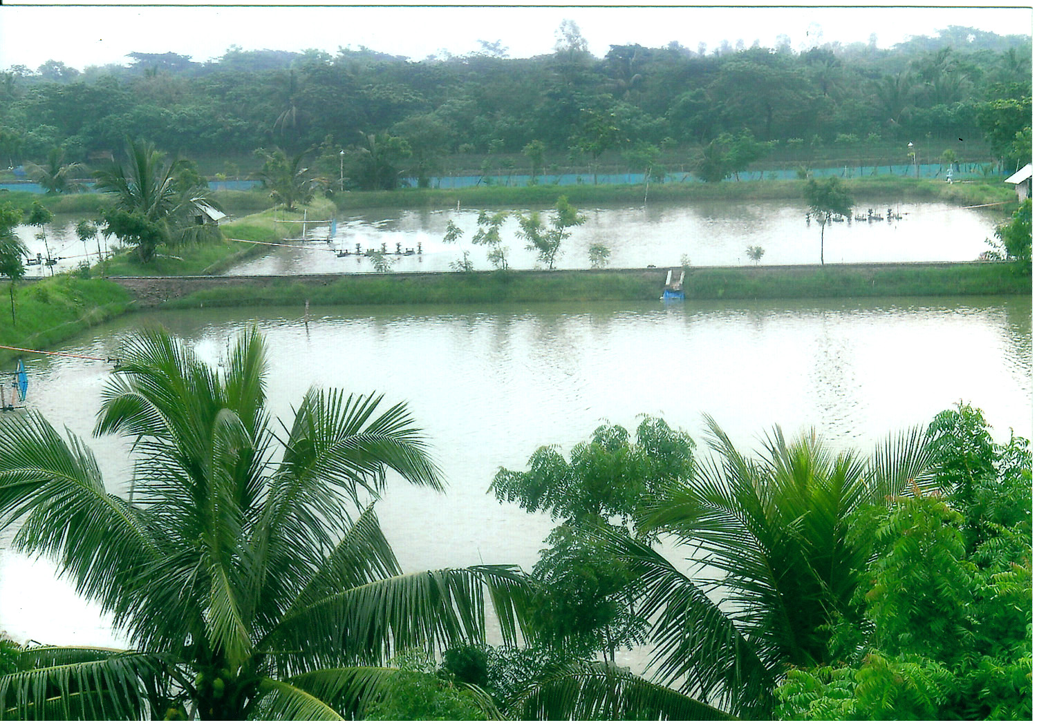 Commercial Aquaculture Farms & Ponds